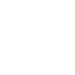 North American Court Services White Logo